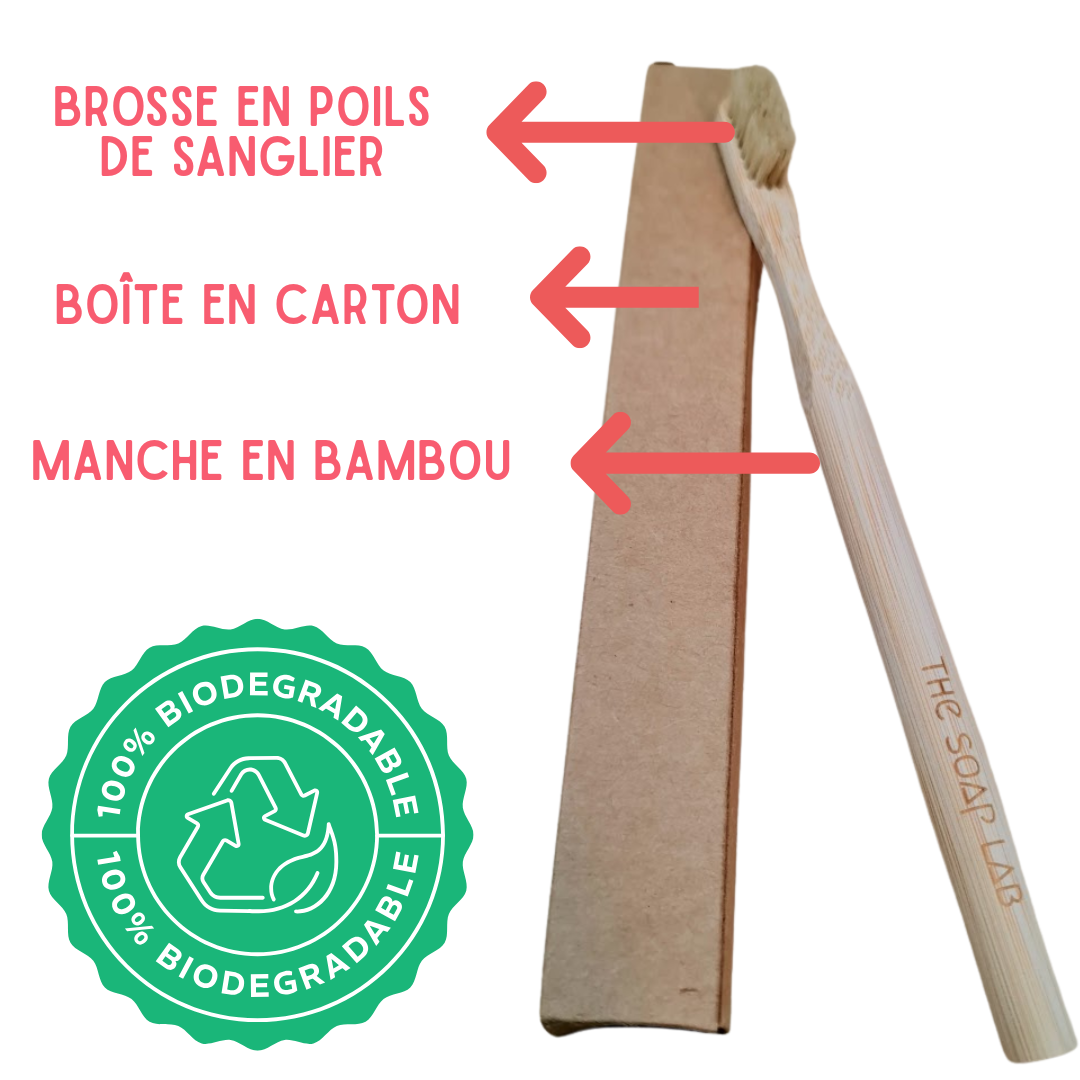 brosse à dents biodégradable avec boite en carton, sur fond blanc, avec mentions de la composition de la brosse et badge 100% biodégradable